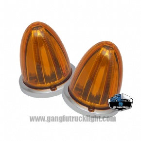Luces LED de sandía